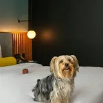 Renaissance Lapa Hotel