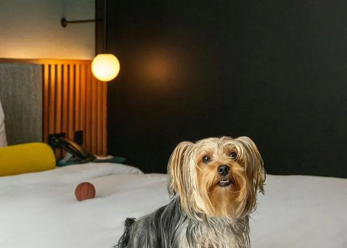 Renaissance Lapa Otel